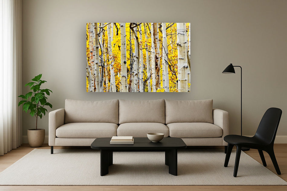 Tempered Glass With Foil - Yellow Aspen - Yellow