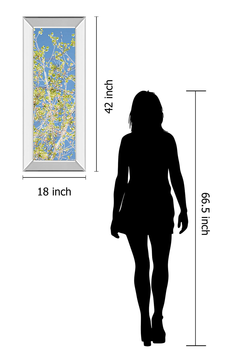 Spring Poplars Il By Sharon Chandler - Mirror Framed Print Wall Art - Green