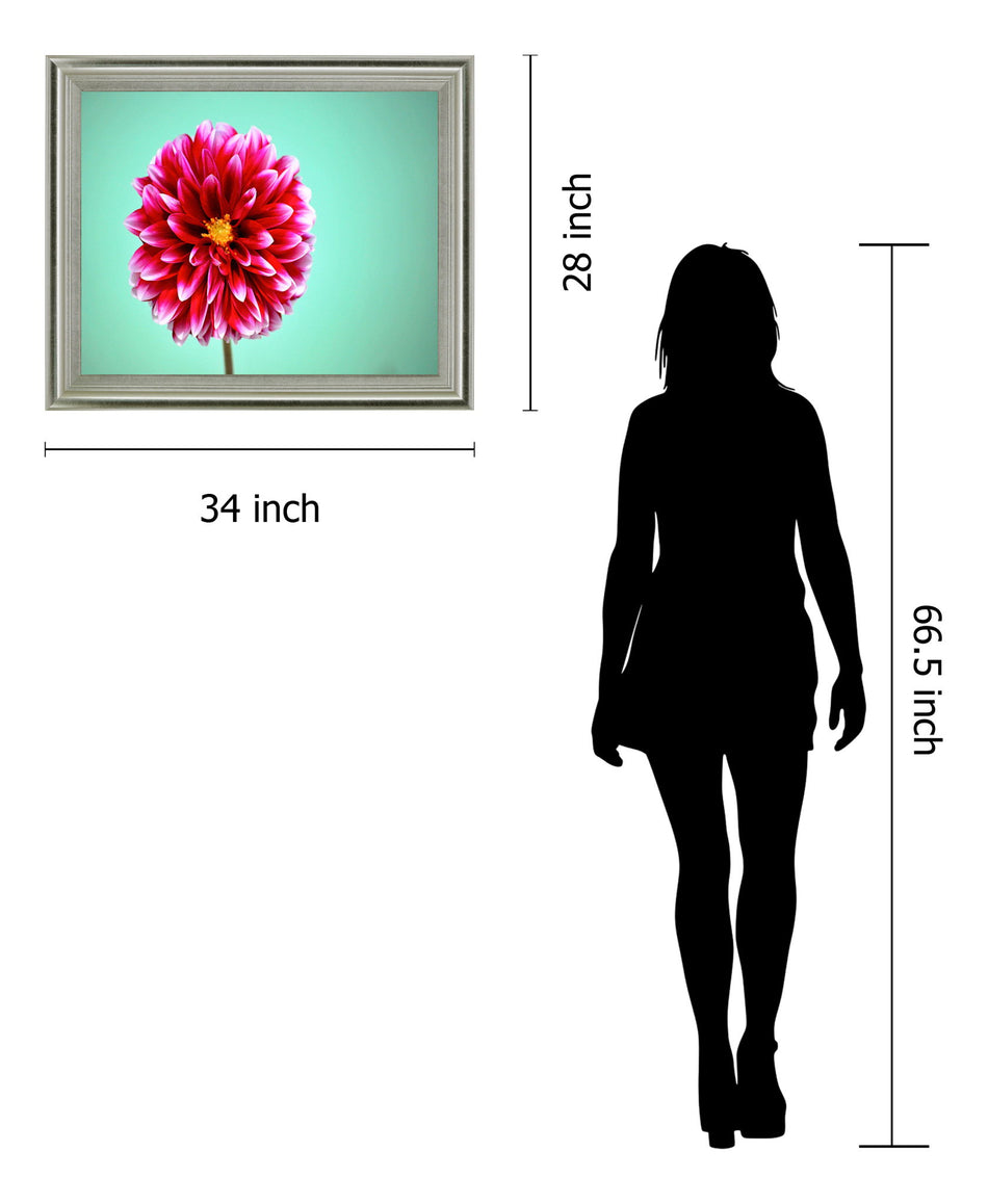 Crimson Radiance - 28" x 34" Framed Wall Art