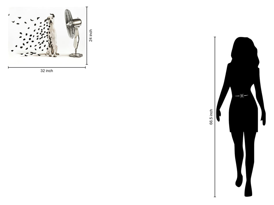 Hand Painted Textured Canvas - Pearl Silver / Black