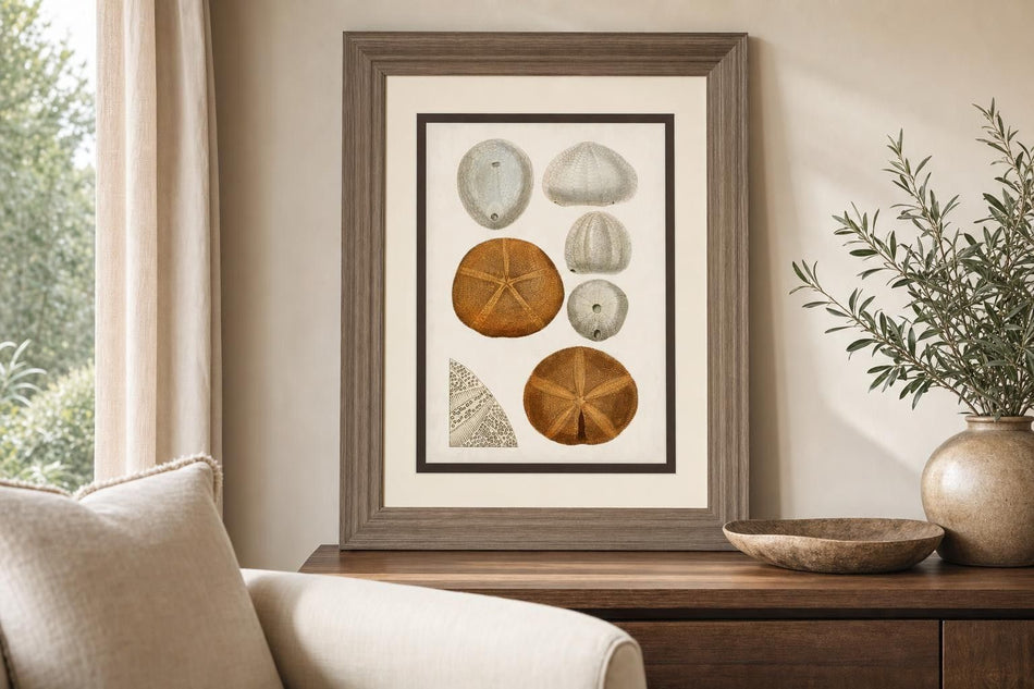 34x40 Coastal Curiosity II By Unknown - Beige