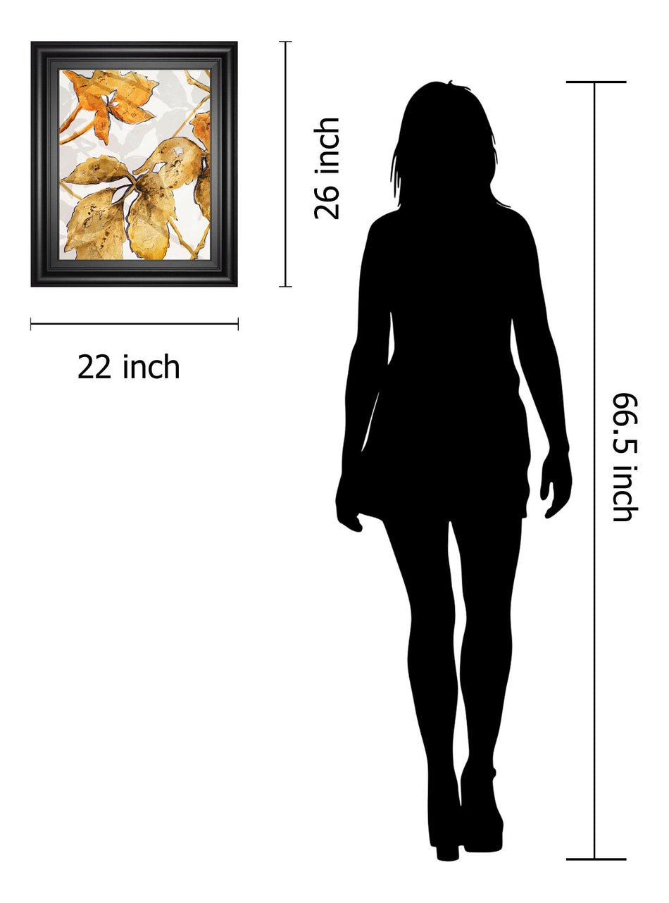 Gold Shadows Il By Patricia Pinto - Framed Print Wall Art - Dark Brown