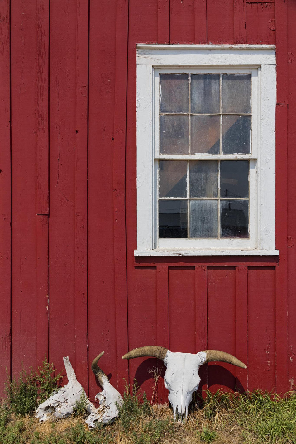 Skulls By Piddix (Framed) - Dark Red