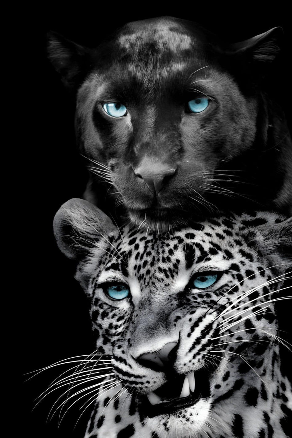 Azure Gaze Duo - 40" x 60" Framed Wall Art