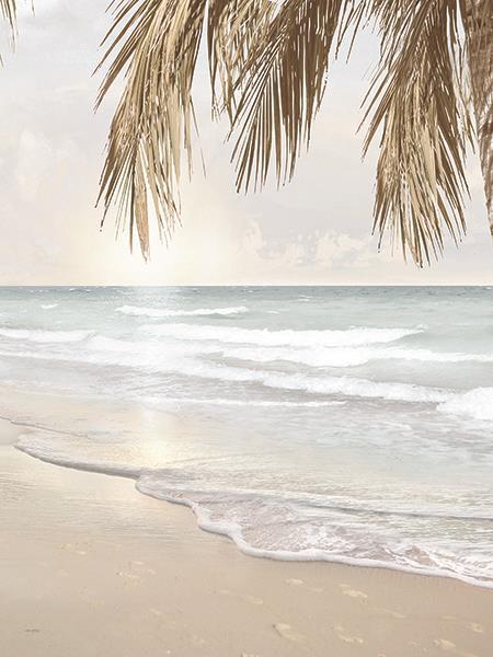 Coastal Dreams Iv By Amber Sterling (Framed) - Light Blue