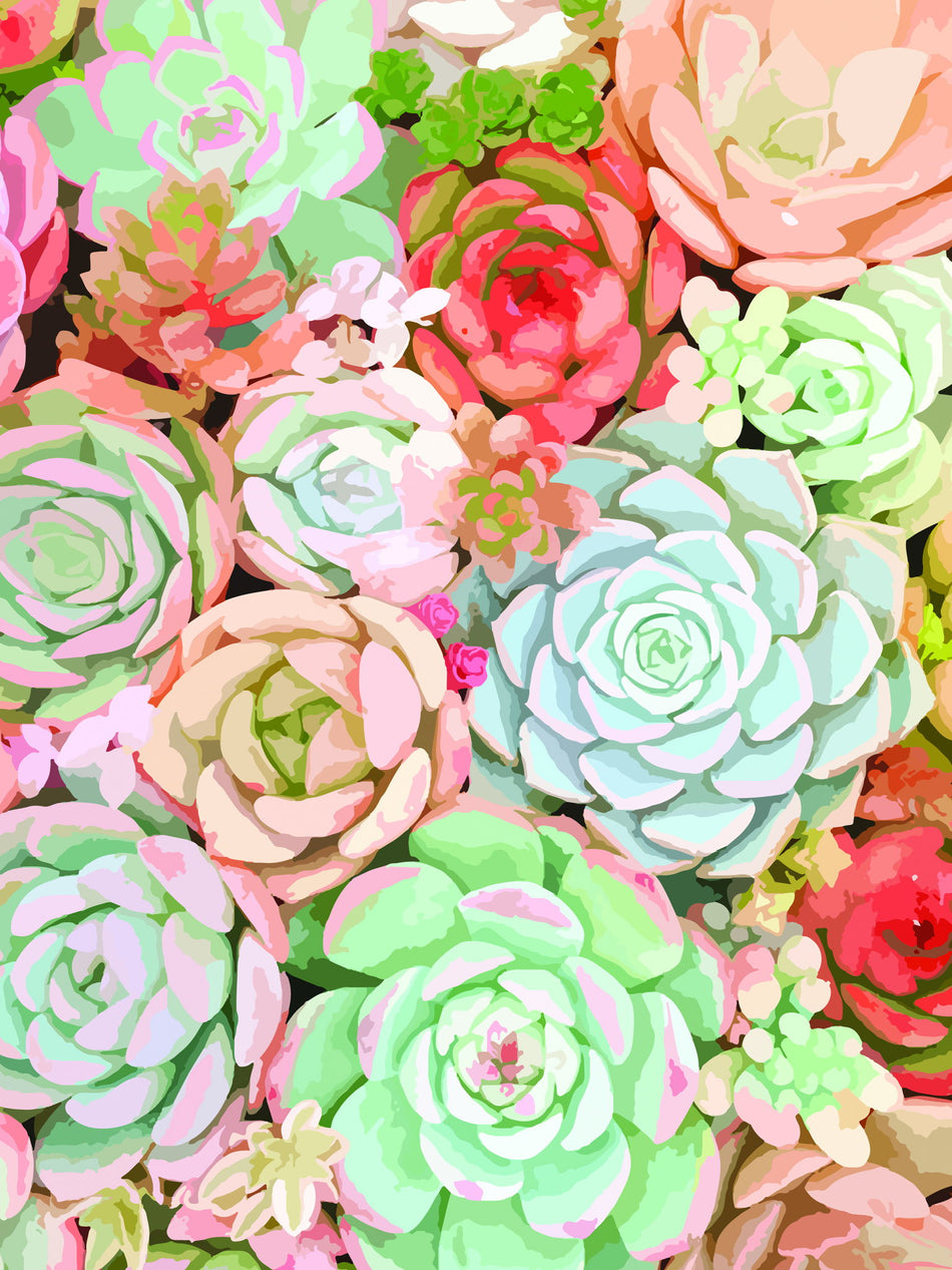 Framed - Succulent By Tamara Robinson - Red