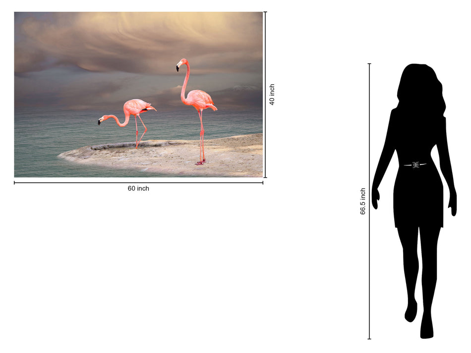 Tempered Glass With Foil - Flamingo - Dark Gray