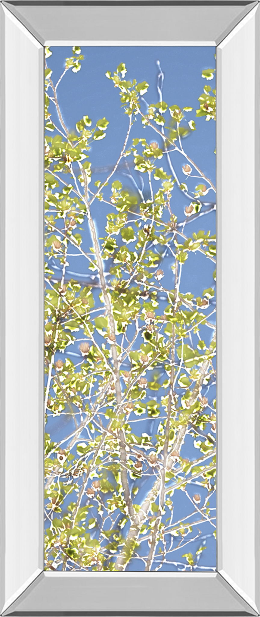 Spring Poplars Il By Sharon Chandler - Mirror Framed Print Wall Art - Green