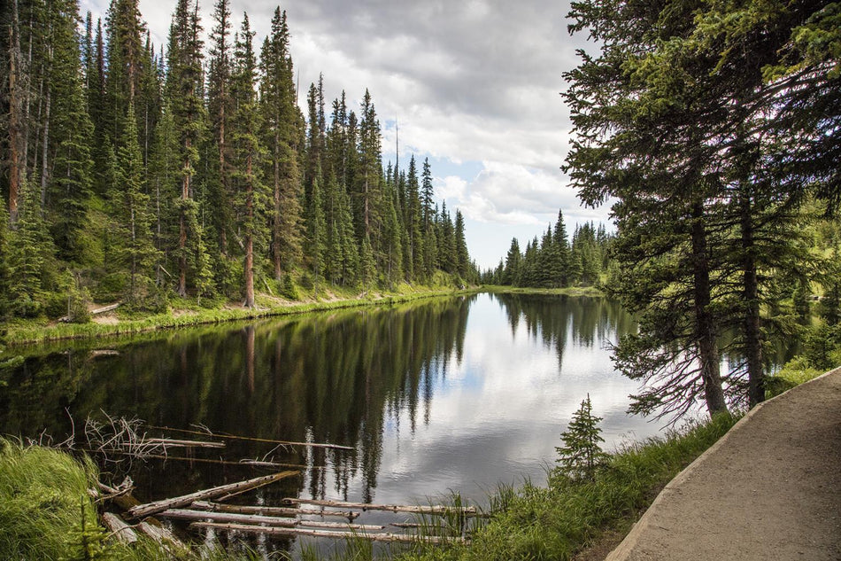 Peaceful River View By Piddix (Small) - Green