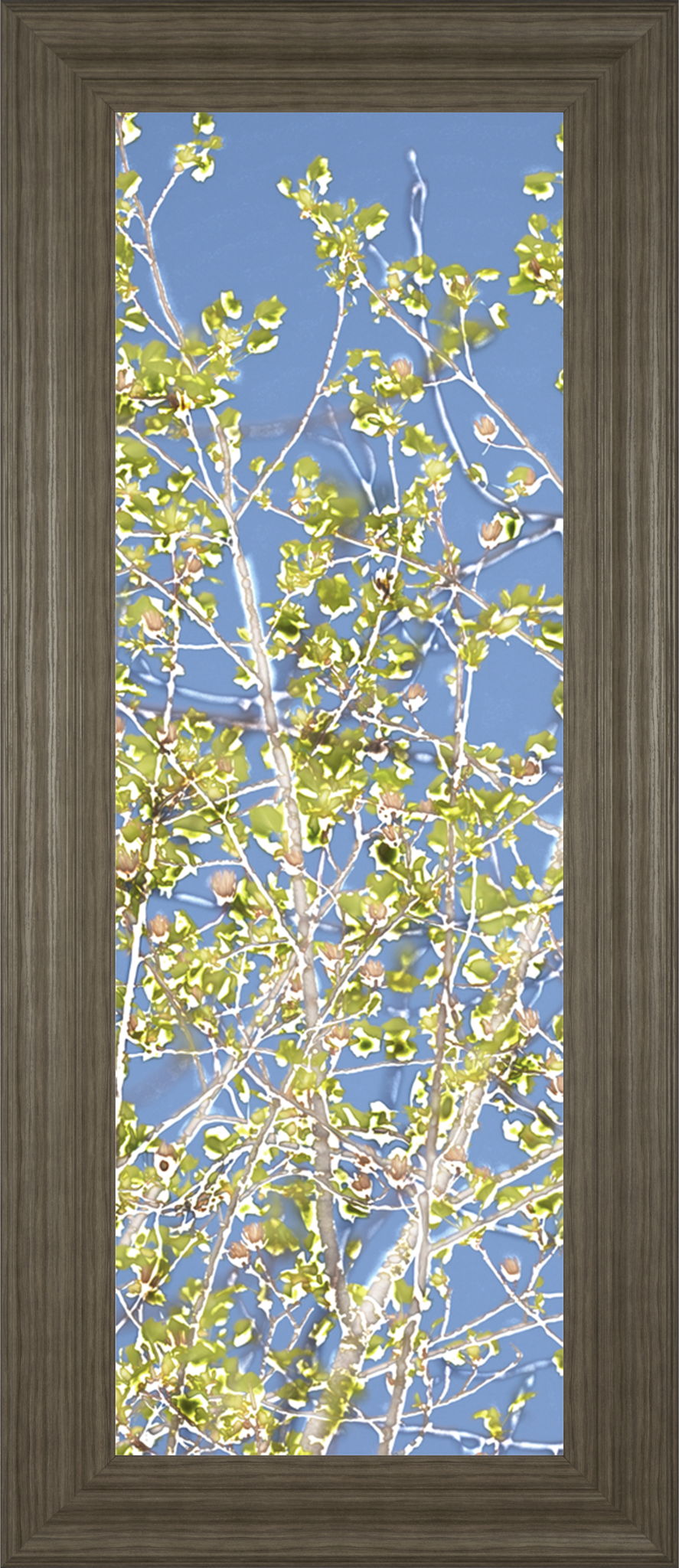 Spring Poplars Il By Sharon Chandler - Framed Print Wall Art - Green